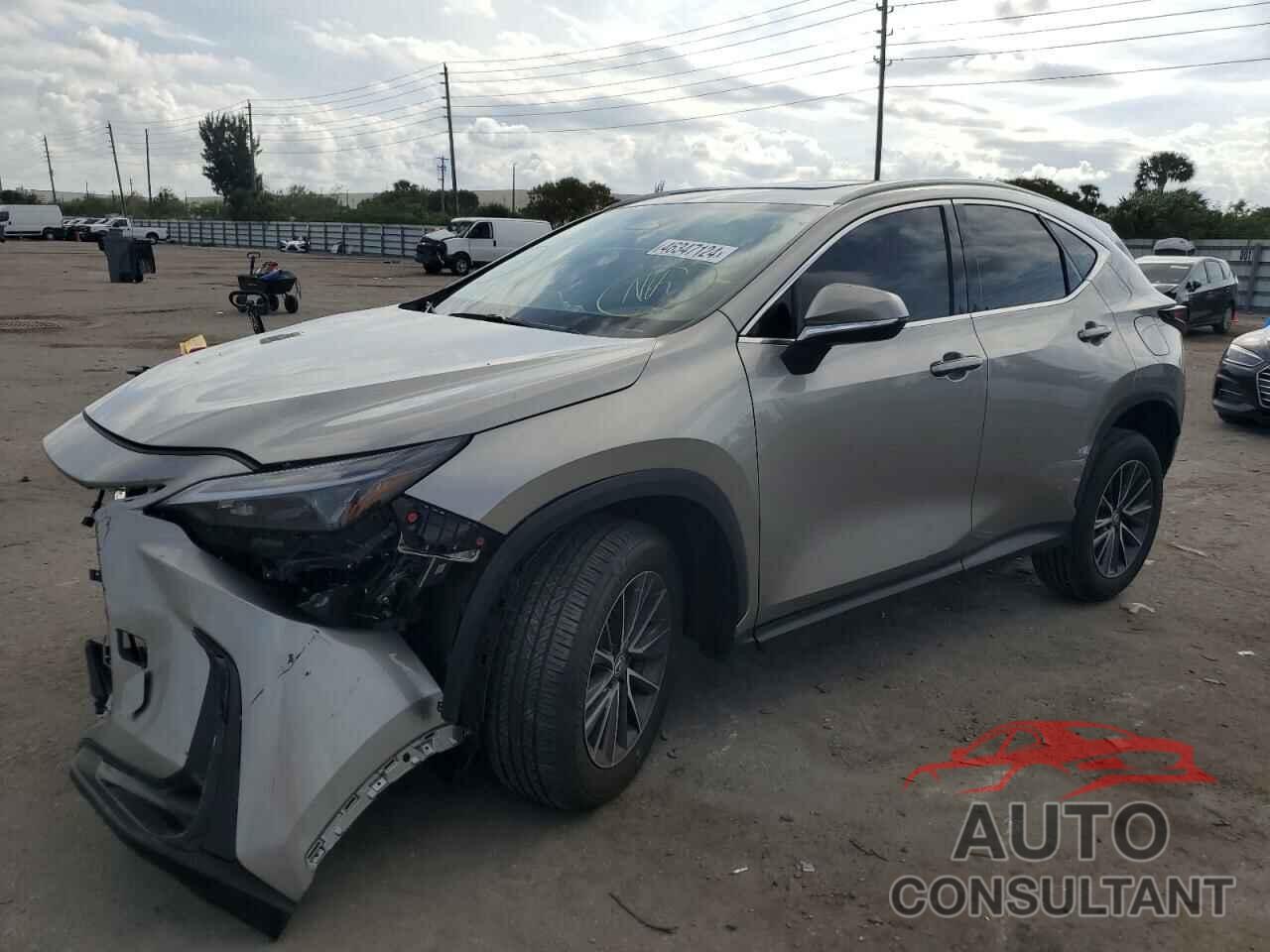 LEXUS NX 250 BAS 2024 - 2T2ADCAZXRC010105