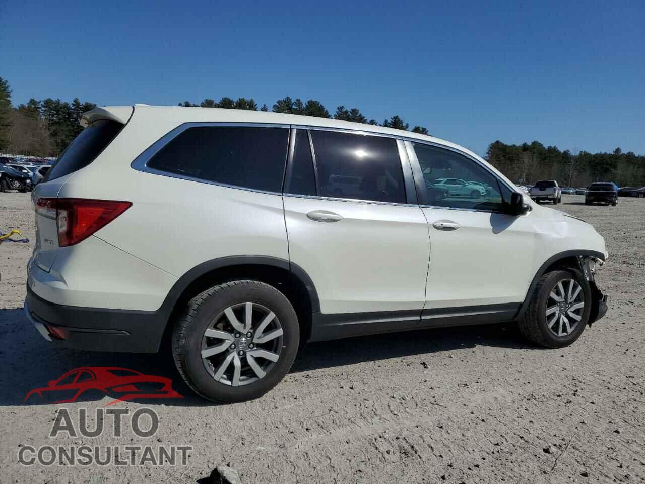 HONDA PILOT 2019 - 5FNYF6H54KB080041