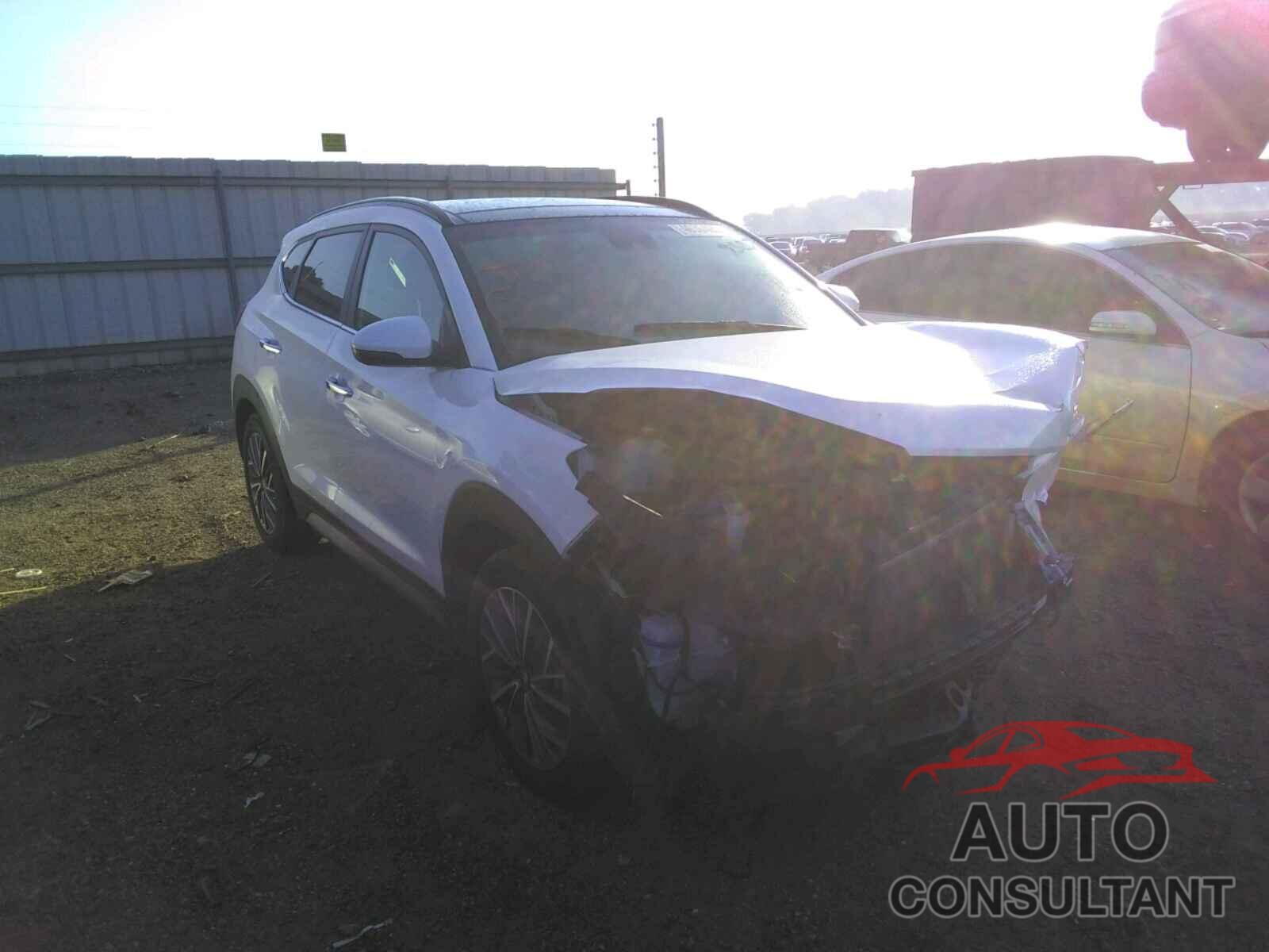 HYUNDAI TUCSON 2019 - KM8J33AL3KU959387