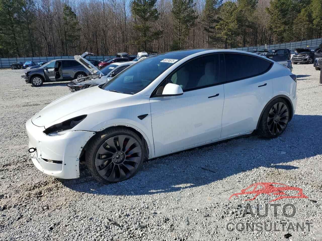 TESLA MODEL Y 2023 - 7SAYGDEFXPF935544