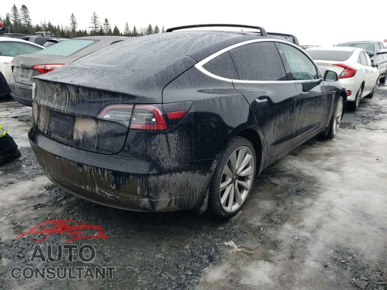 TESLA MODEL 3 2019 - 5YJ3E1EA3KF265389