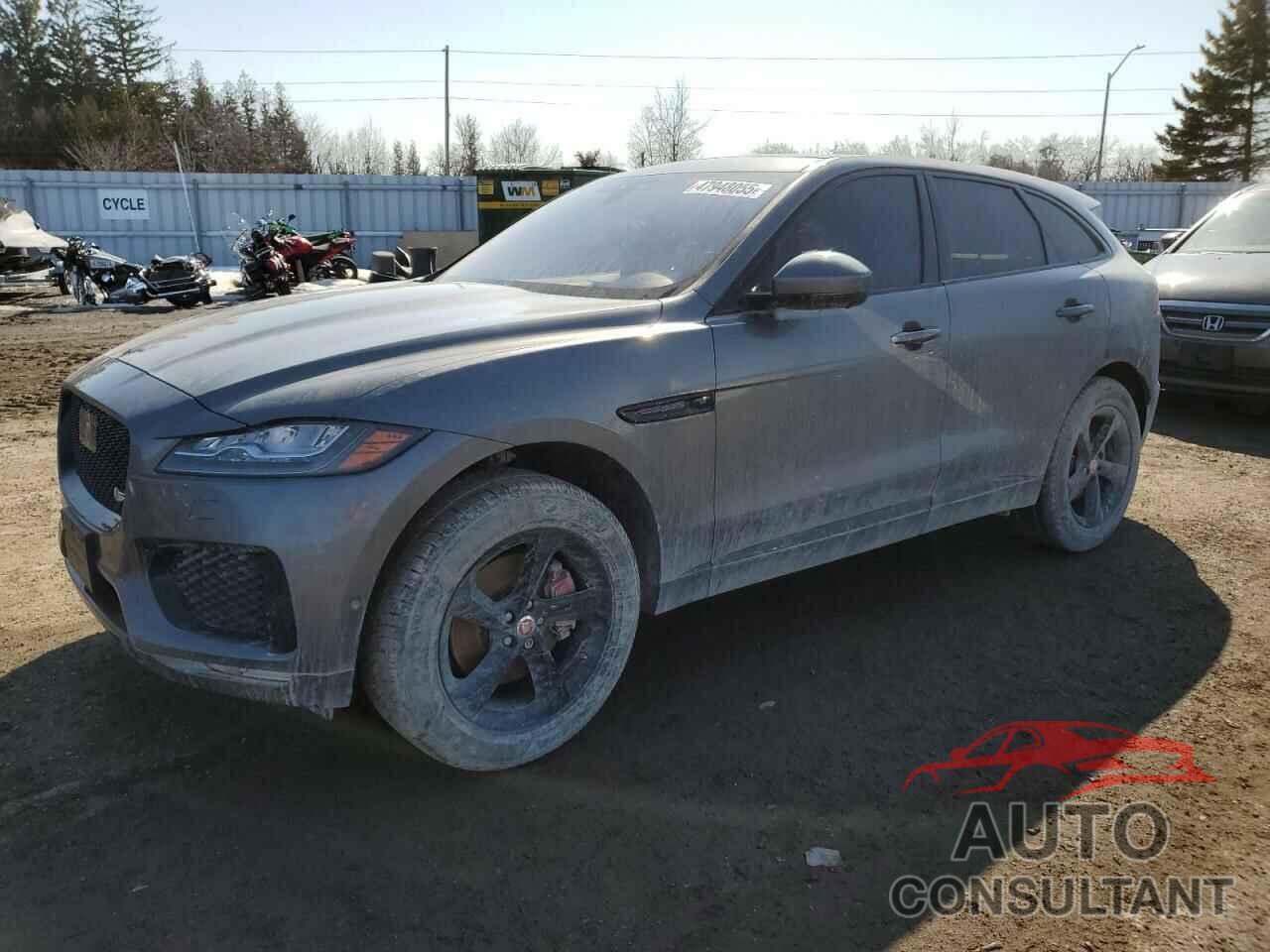 JAGUAR F-PACE 2018 - SADCM2FVXJA239393