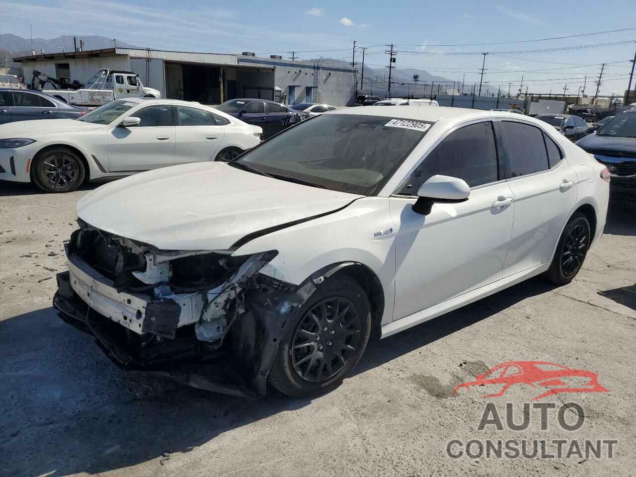 TOYOTA CAMRY 2019 - 4T1B31HK8KU514567