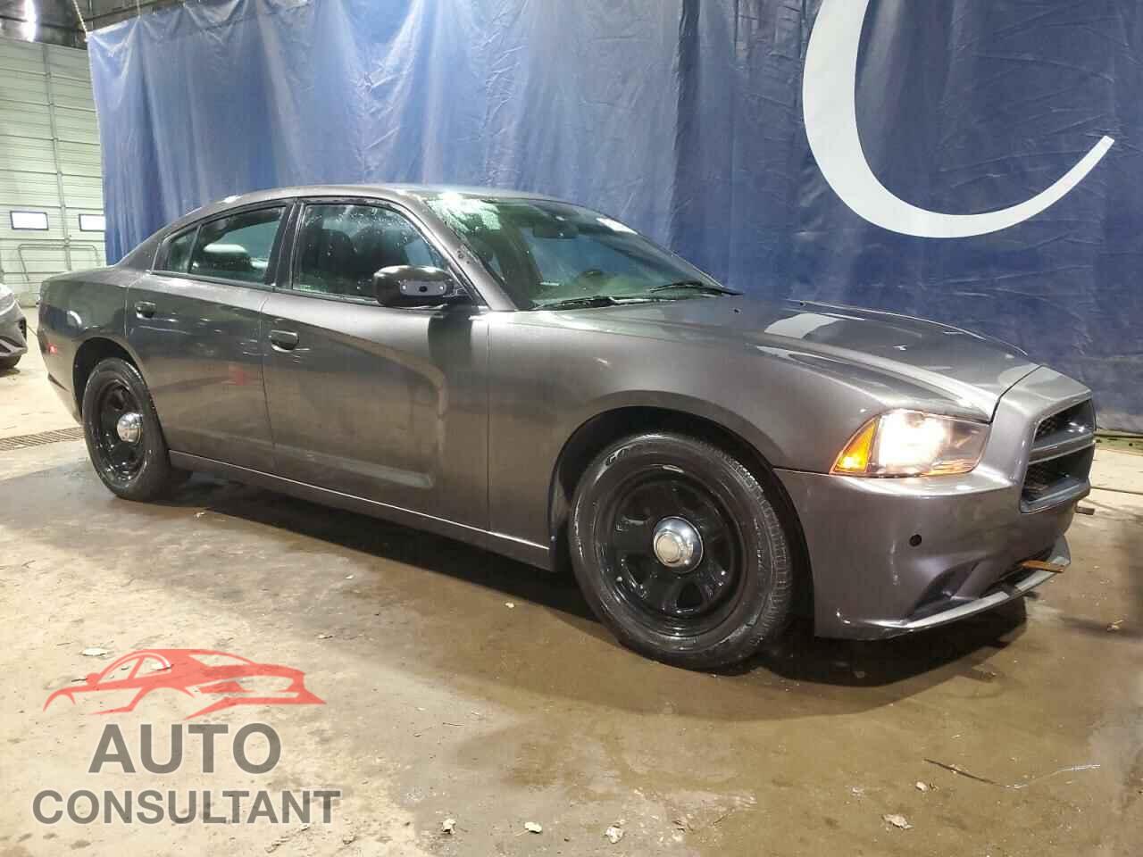 DODGE CHARGER 2014 - 2C3CDXAG1EH374677