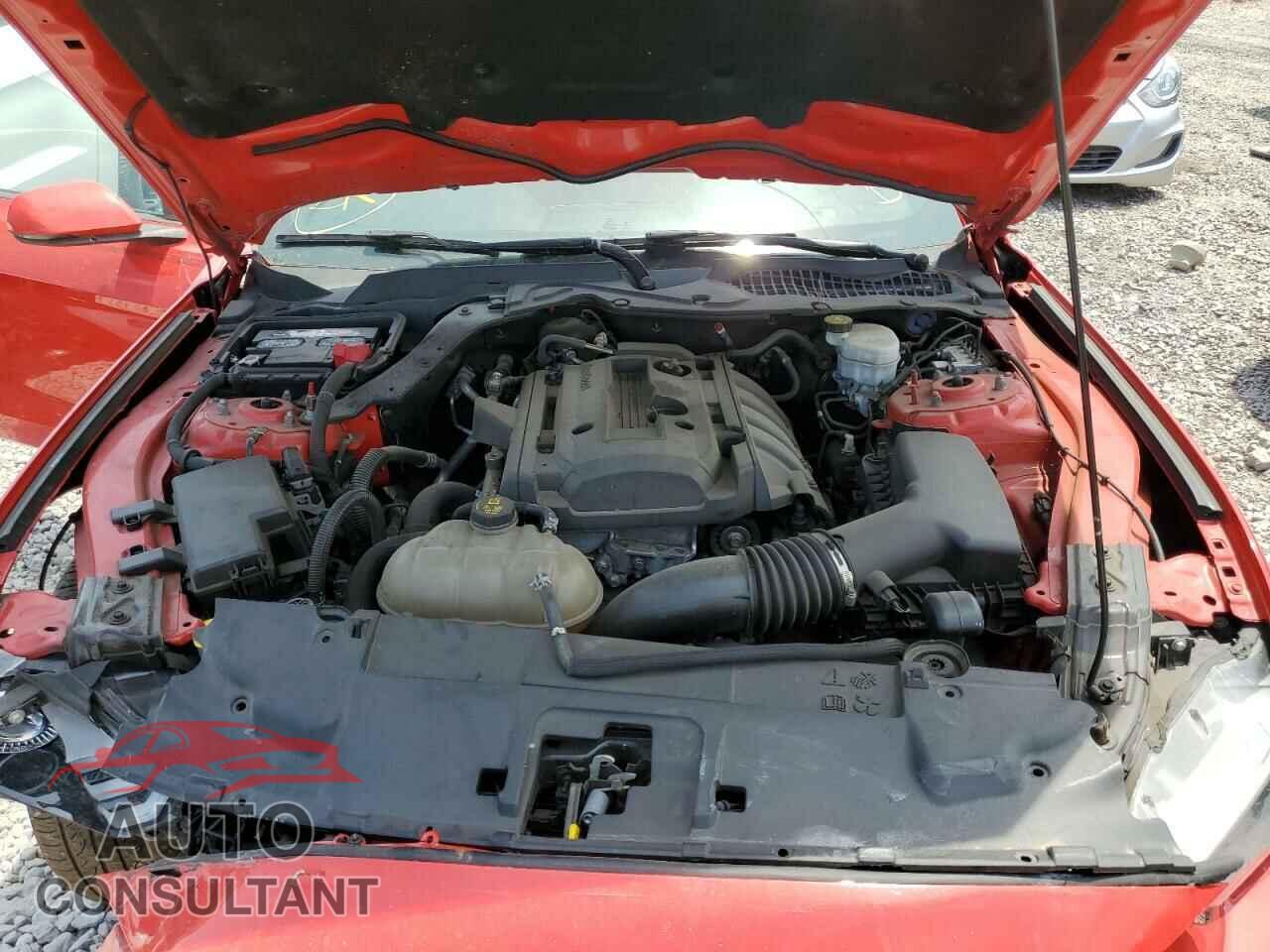 FORD MUSTANG 2019 - 1FA6P8TH7K5179221