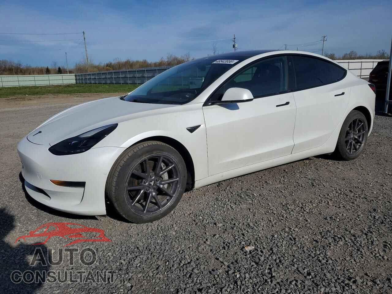 TESLA MODEL 3 2021 - 5YJ3E1EA2MF920385