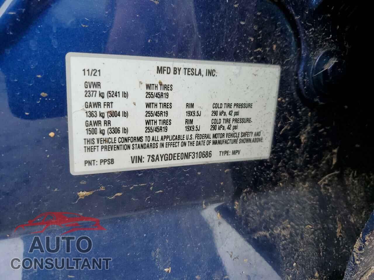 TESLA MODEL Y 2022 - 7SAYGDEE0NF310686