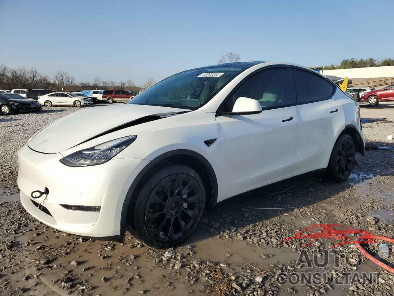 TESLA MODEL Y 2021 - 5YJYGAEE2MF301840
