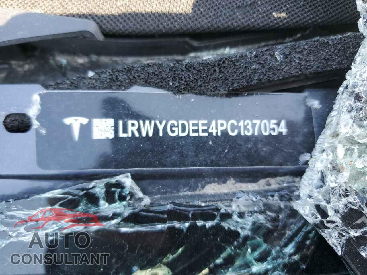 TESLA MODEL Y 2023 - LRWYGDEE4PC137054