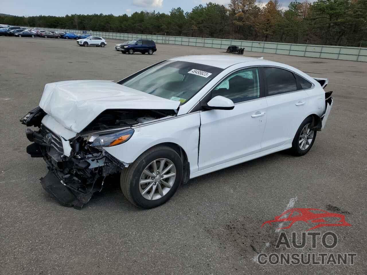HYUNDAI SONATA 2019 - 5NPE24AF8KH810542