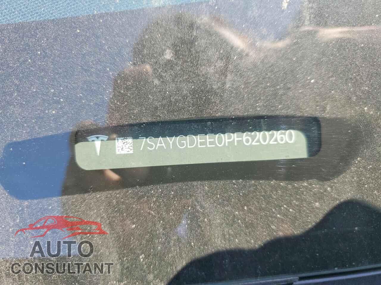 TESLA MODEL Y 2023 - 7SAYGDEE0PF620260