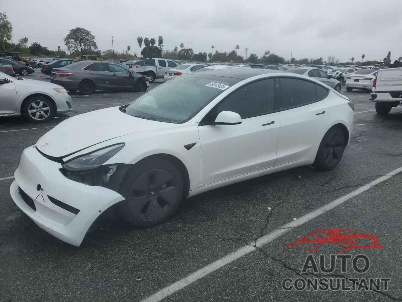 TESLA MODEL 3 2021 - 5YJ3E1EA9MF929634
