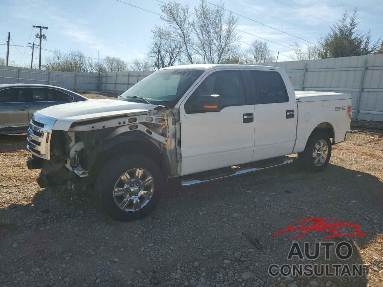 FORD F-150 2009 - 1FTRW12869FA24540