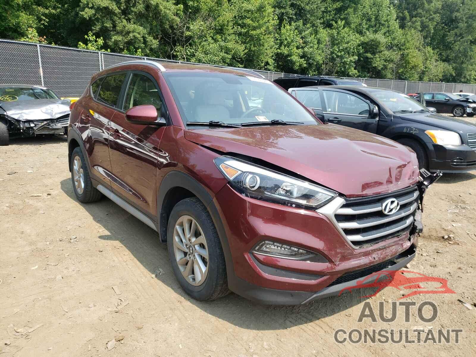 HYUNDAI TUCSON 2017 - KM8J33A44HU518840
