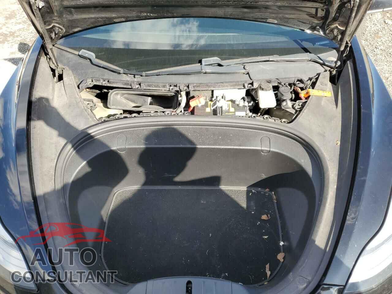 TESLA MODEL 3 2019 - 5YJ3E1EB8KF197101