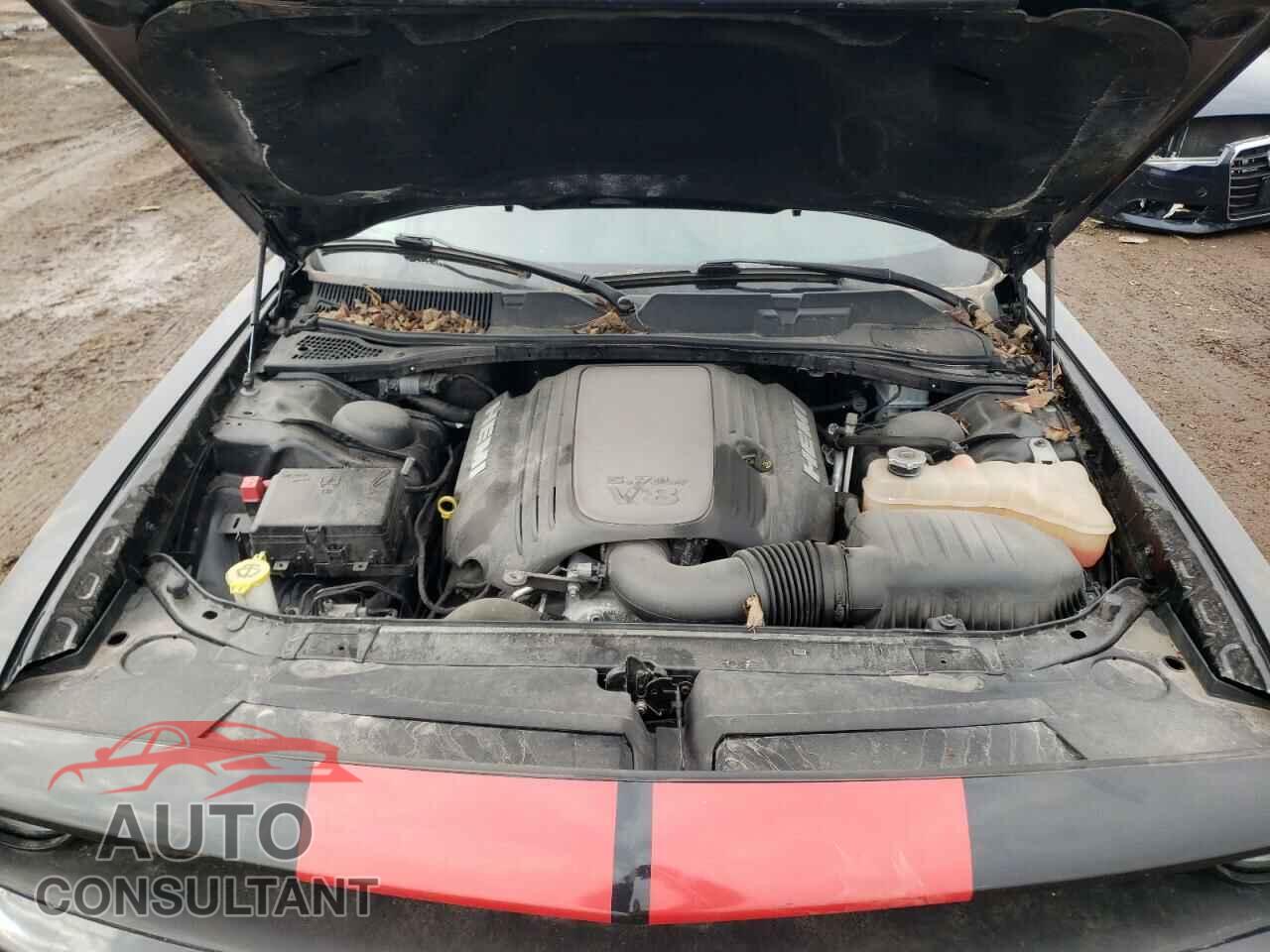 DODGE CHALLENGER 2017 - 2C3CDZBT7HH636133