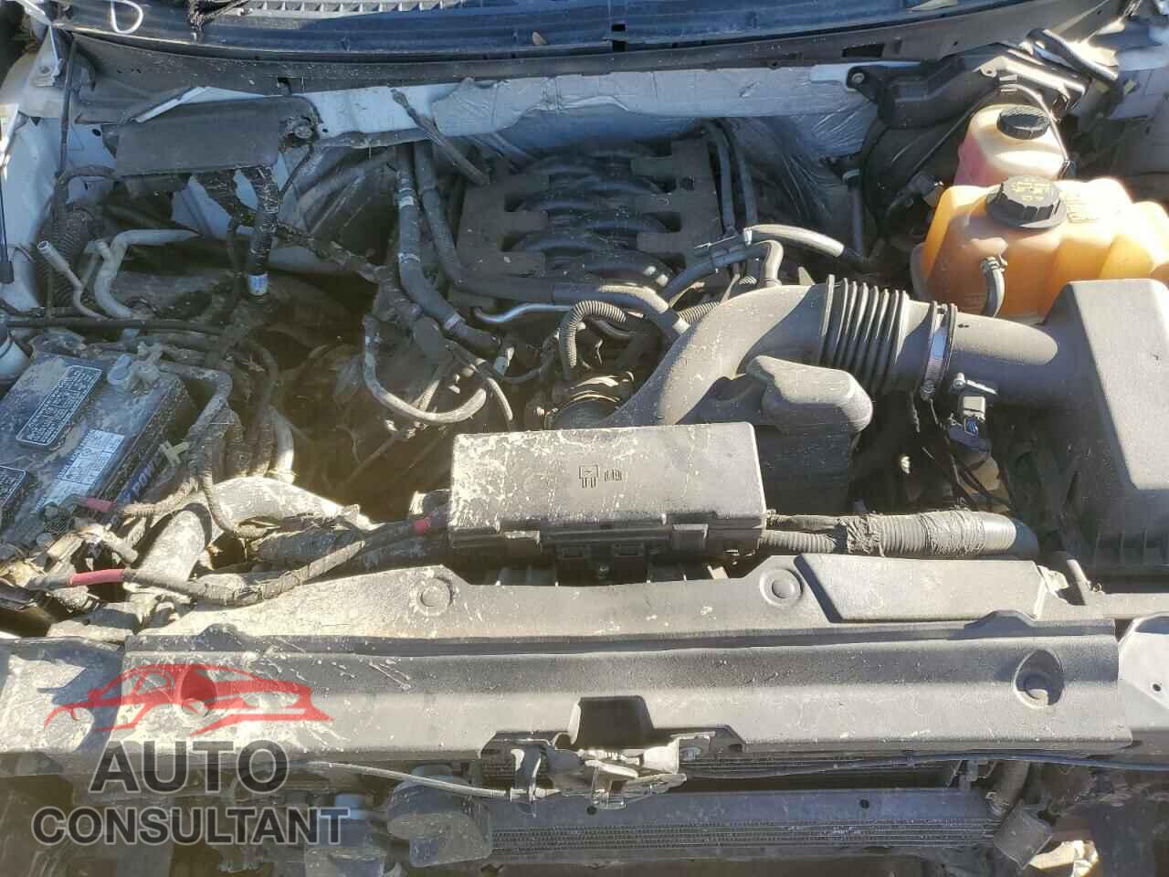 FORD F-150 2011 - 1FTFW1EF2BFB52020