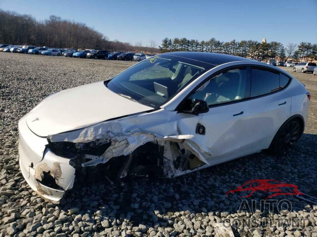 TESLA MODEL Y 2023 - 7SAYGDEF9PF800328