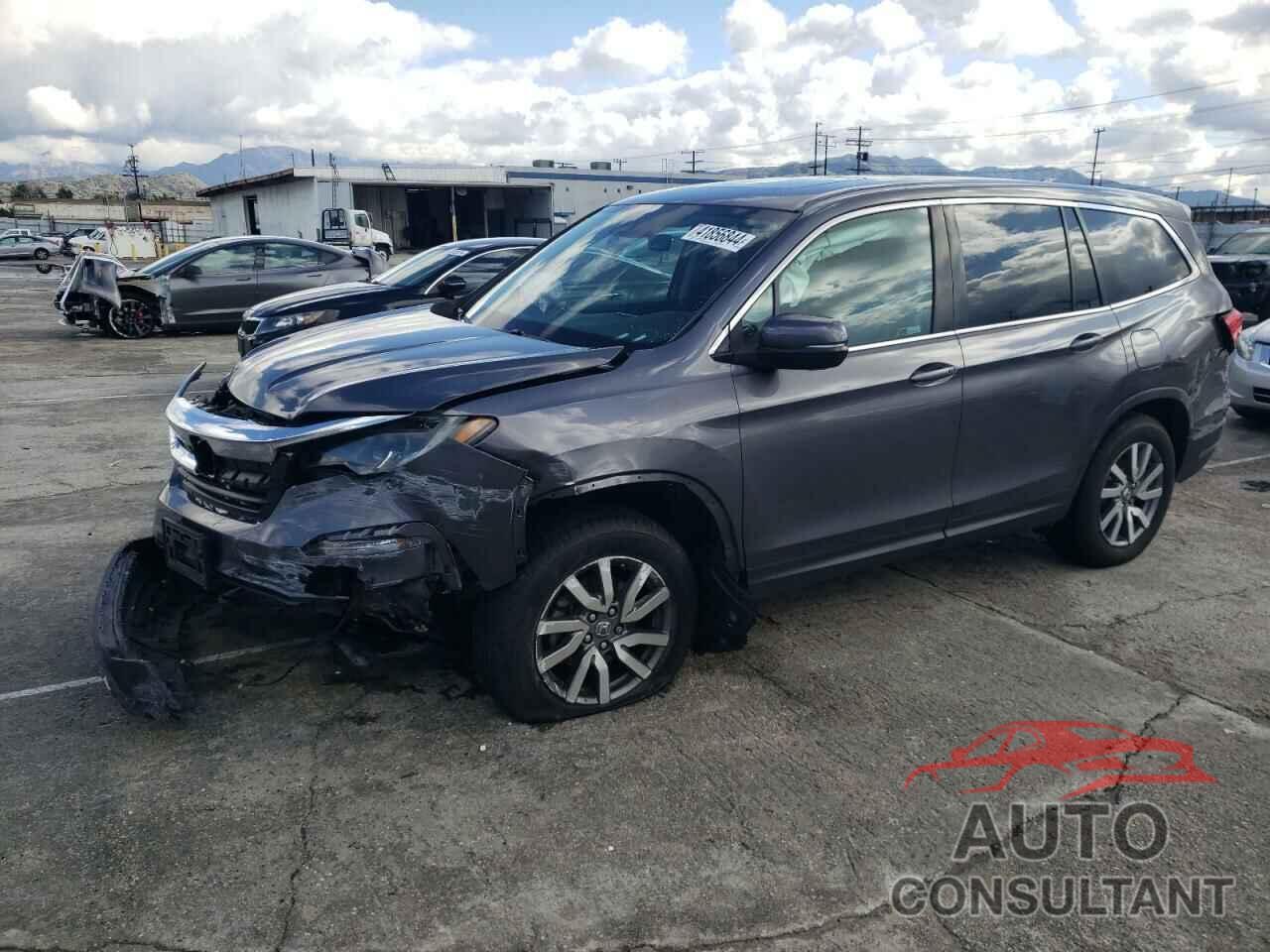 HONDA PILOT 2019 - 5FNYF5H52KB014873