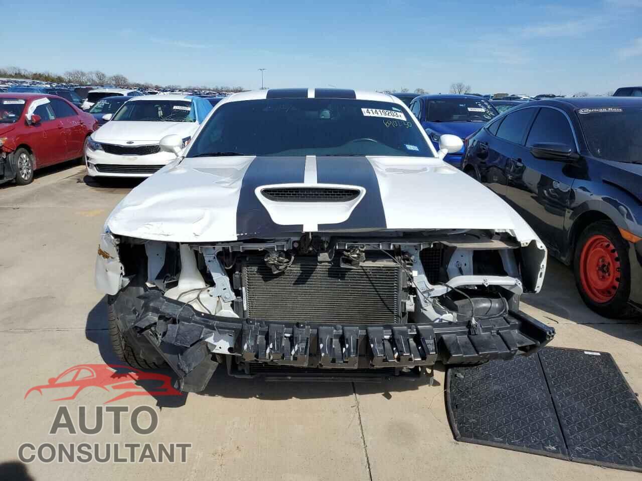 DODGE CHALLENGER 2019 - 2C3CDZJG6KH690230