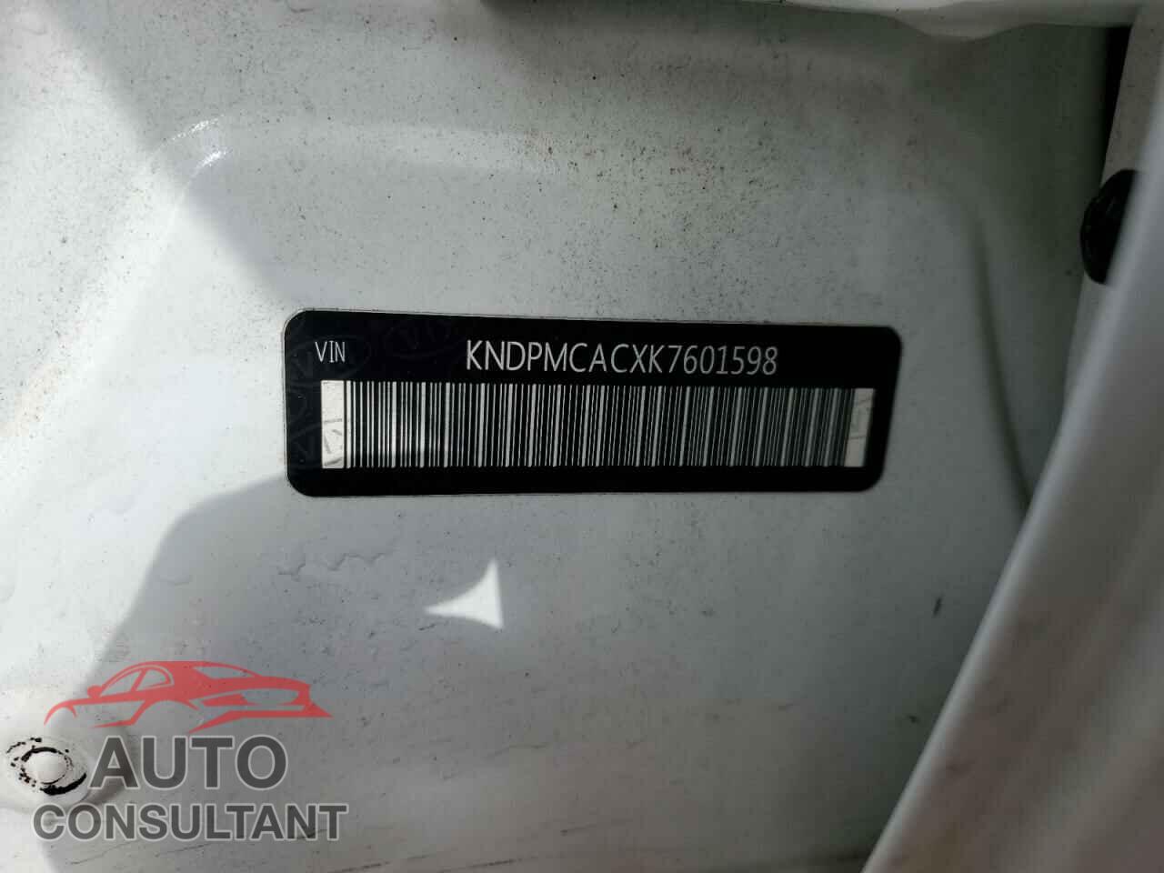 KIA SPORTAGE 2019 - KNDPMCACXK7601598