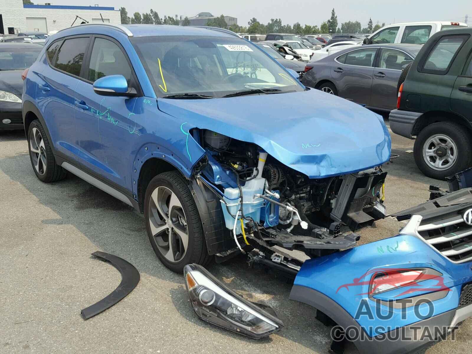 HYUNDAI TUCSON 2017 - KM8J33A20HU495233