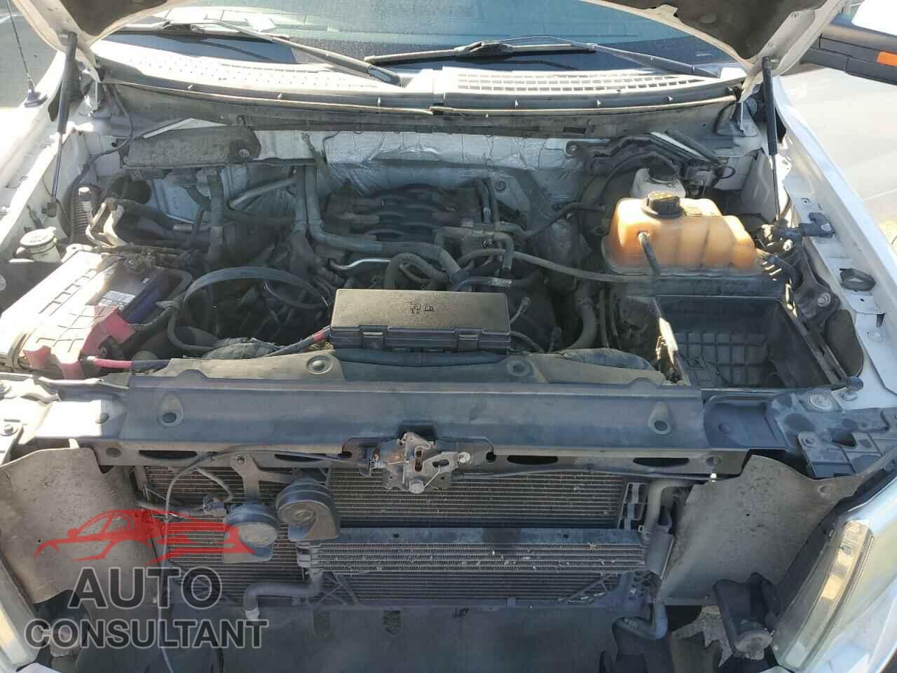 FORD F-150 2011 - 1FTFW1EF0BFC20721
