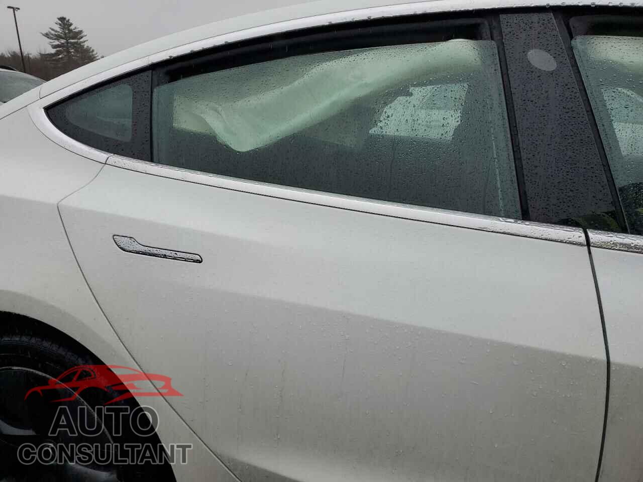 TESLA MODEL 3 2019 - 5YJ3E1EB2KF199653