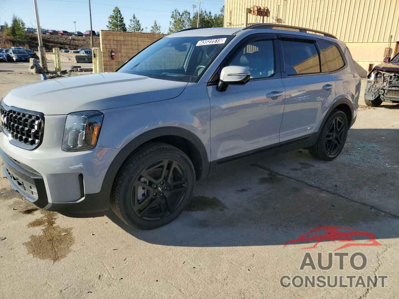 KIA TELLURIDE 2024 - 5XYP5DGC4RG416910