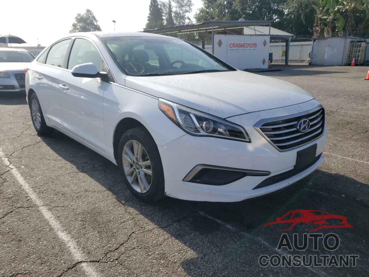 HYUNDAI SONATA 2017 - 5NPE24AF1HH491431