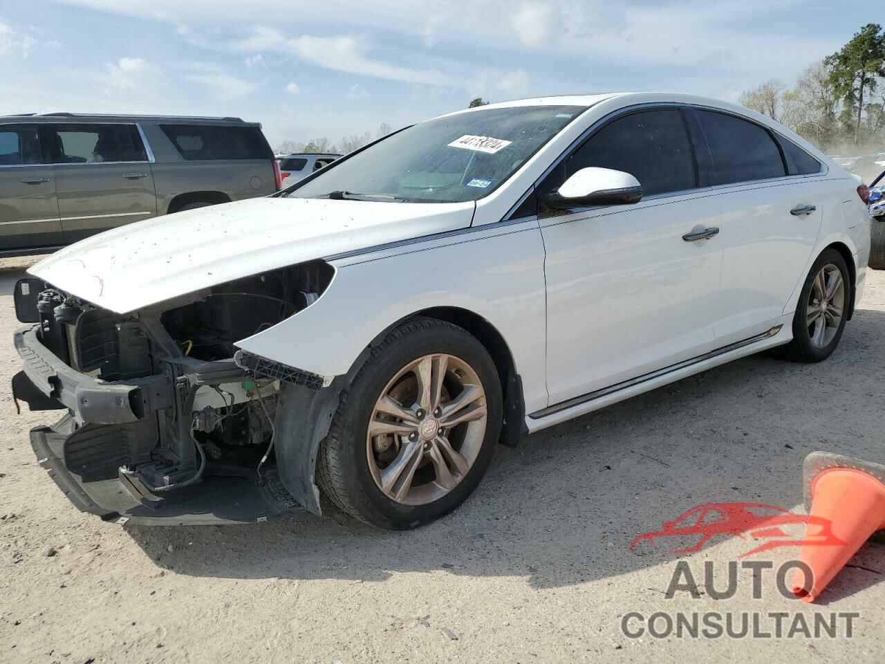 HYUNDAI SONATA 2019 - 5NPE34AF5KH758641