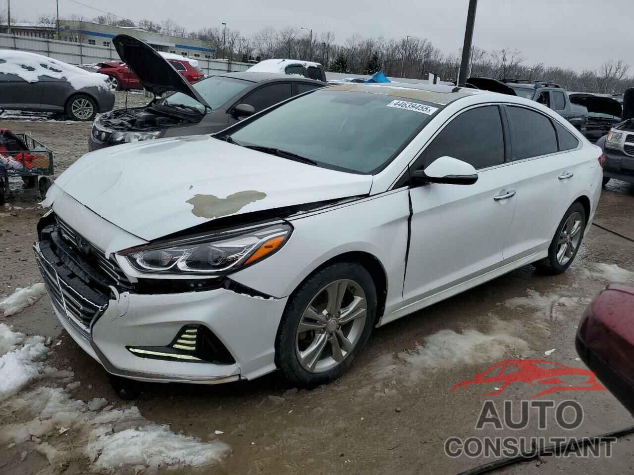 HYUNDAI SONATA 2018 - 5NPE34AF3JH637010