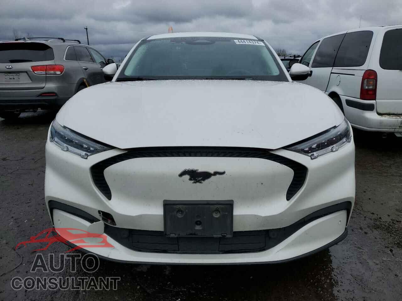FORD MUSTANG 2021 - 3FMTK1SS9MMA62507