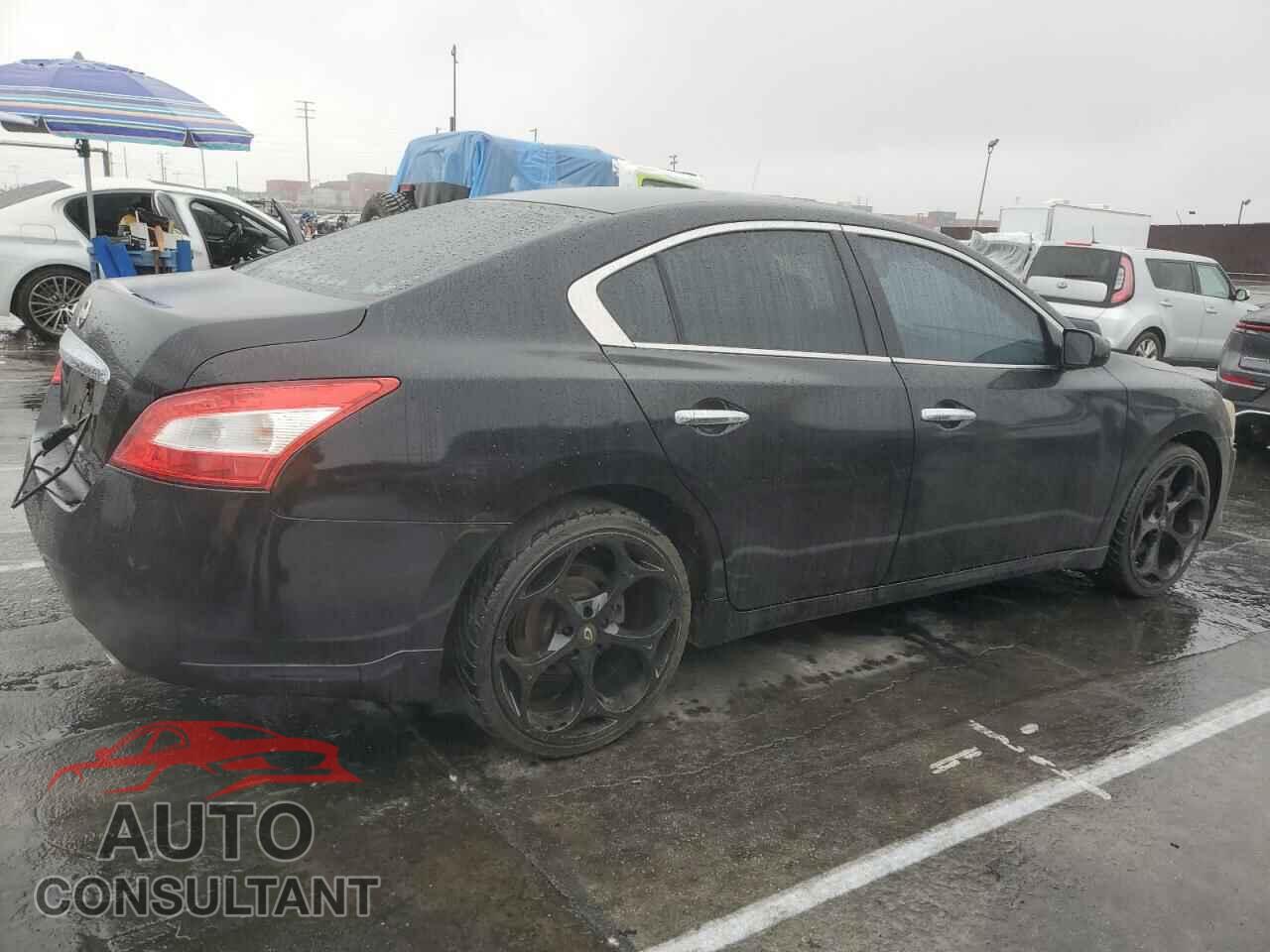 NISSAN MAXIMA 2009 - 1N4AA51E79C837340