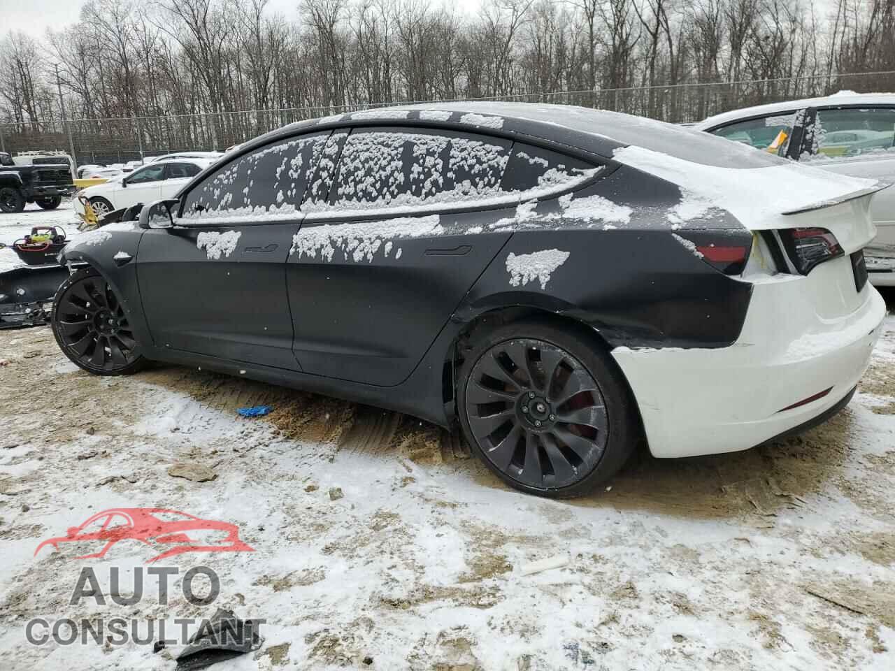 TESLA MODEL 3 2023 - 5YJ3E1EC1PF609990