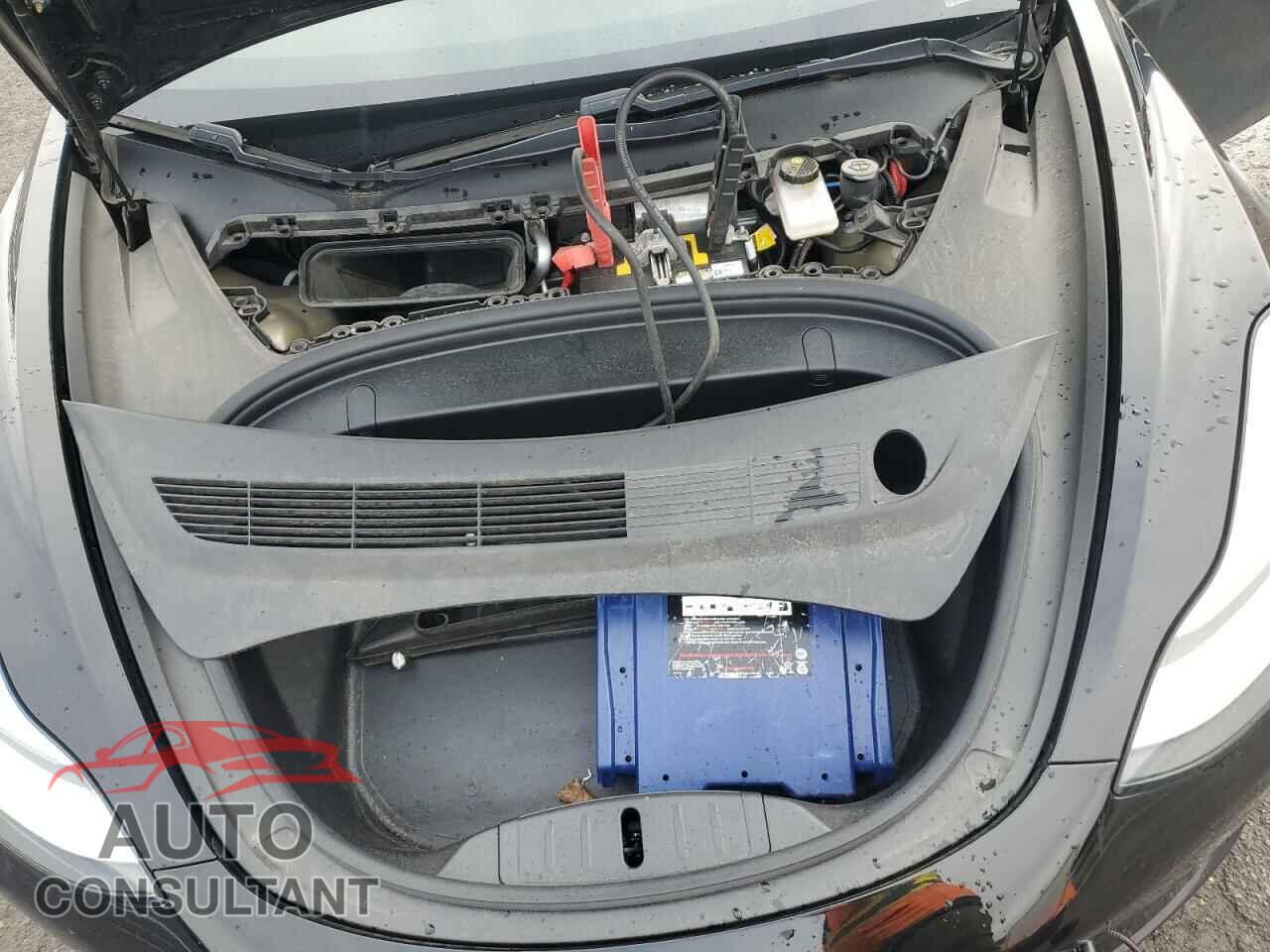 TESLA MODEL 3 2019 - 5YJ3E1EA8KF394910