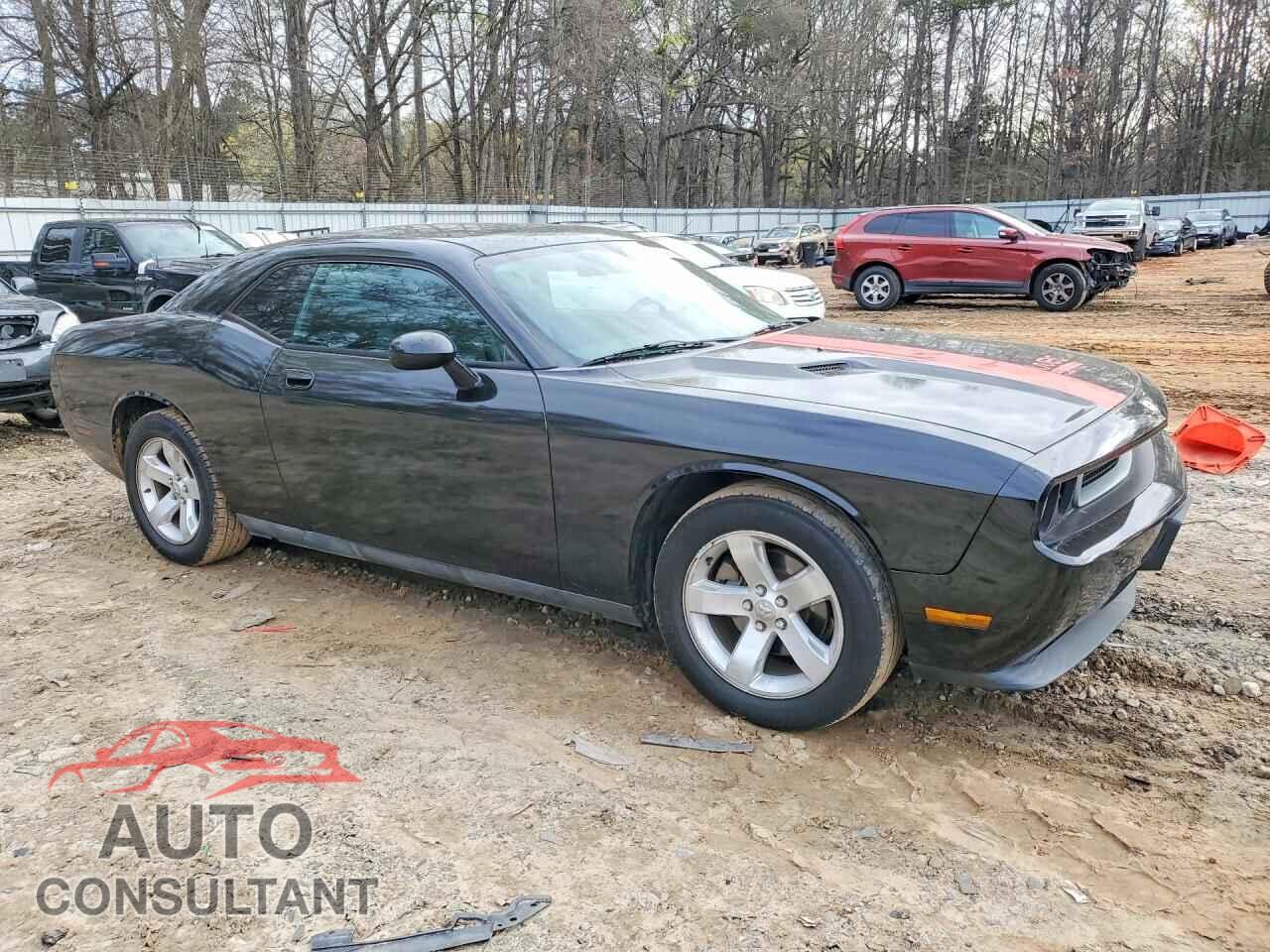 DODGE CHALLENGER 2010 - 2B3CJ4DVXAH322425