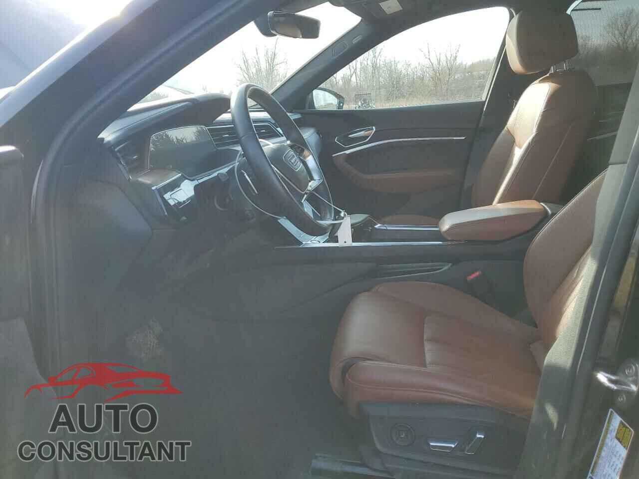 AUDI E-TRON 2019 - WA1VAAGE5KB005402