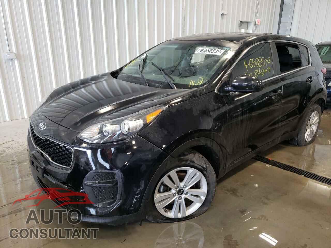 KIA SPORTAGE 2017 - KNDPM3AC4H7235193