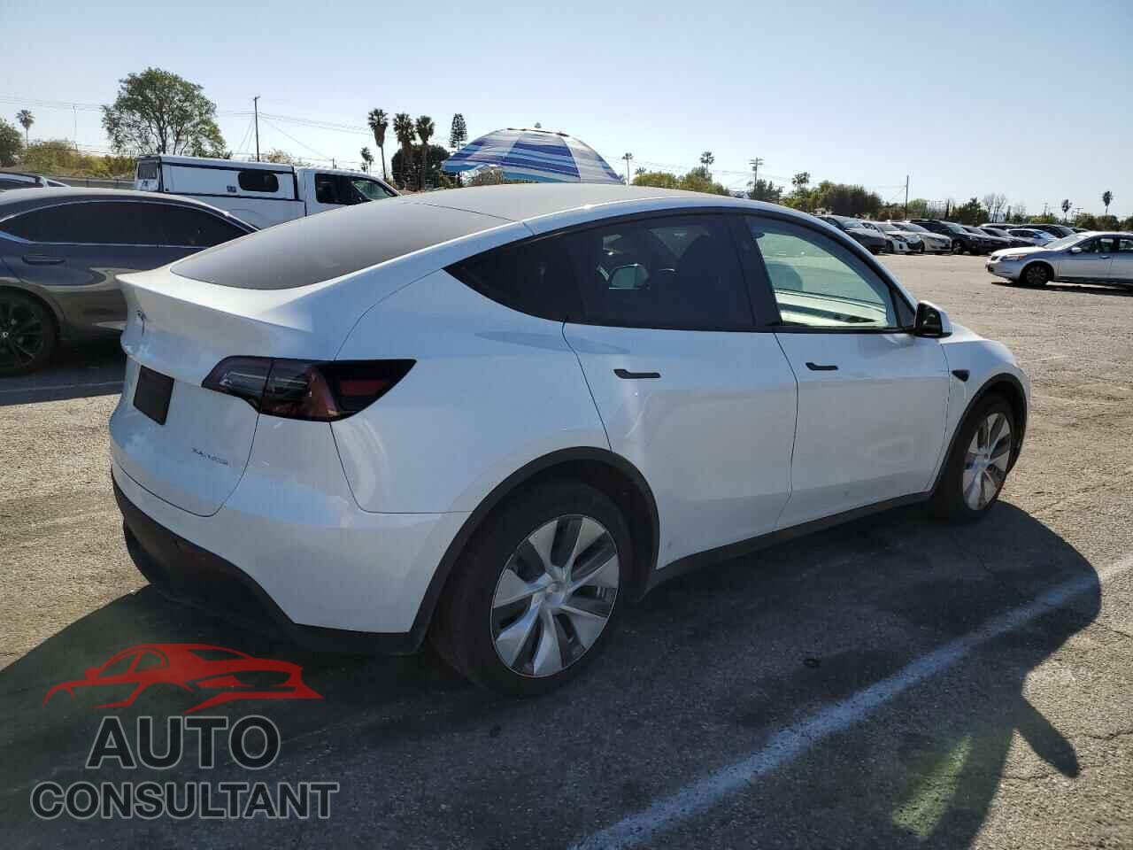 TESLA MODEL Y 2024 - 7SAYGDEE7RF076424
