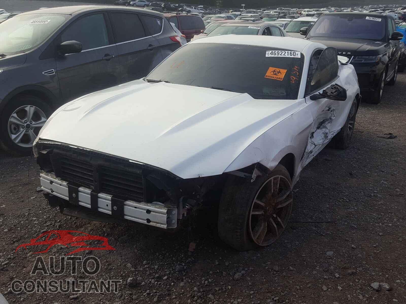FORD MUSTANG 2017 - 1FA6P8TH3H5221148