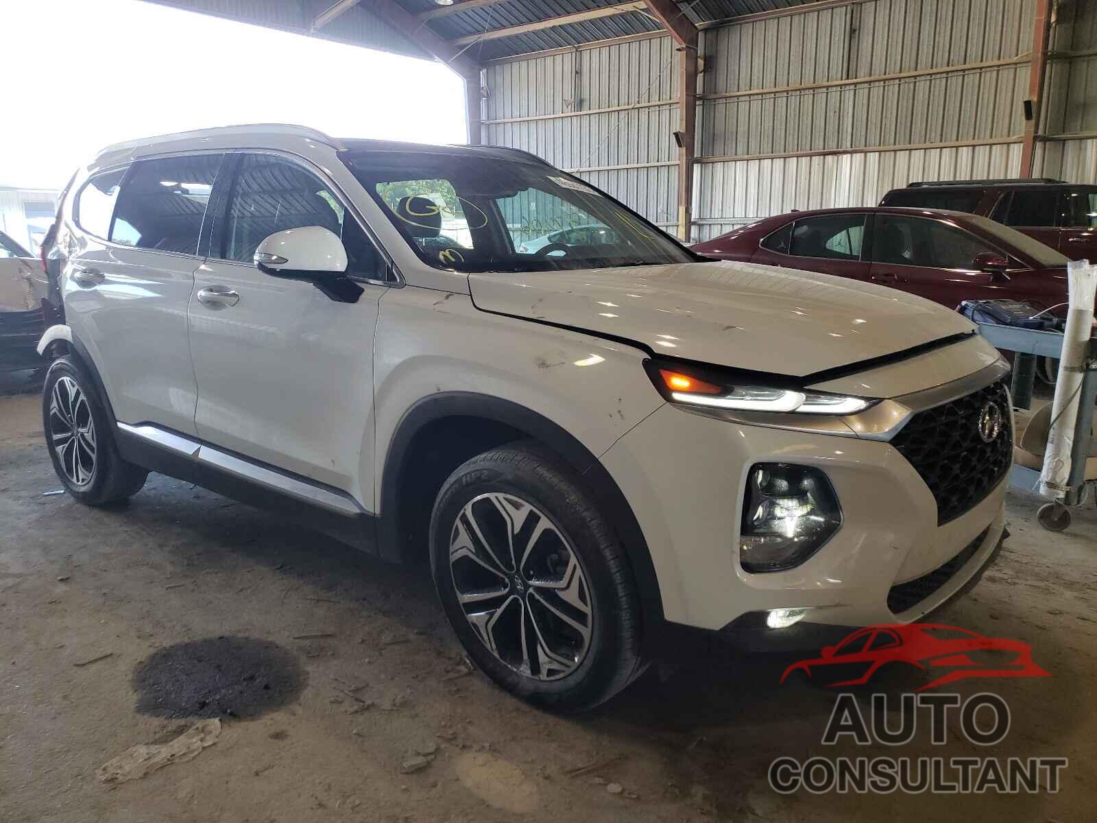 HYUNDAI SANTA FE 2019 - 5NMS53AA5KH025885