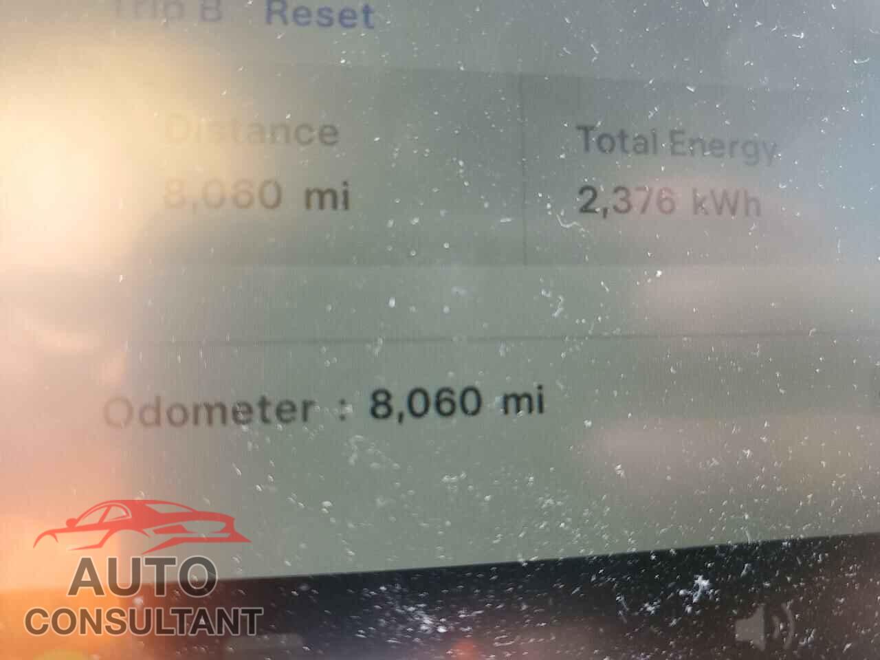TESLA MODEL Y 2024 - 7SAYGAEE4RF149974