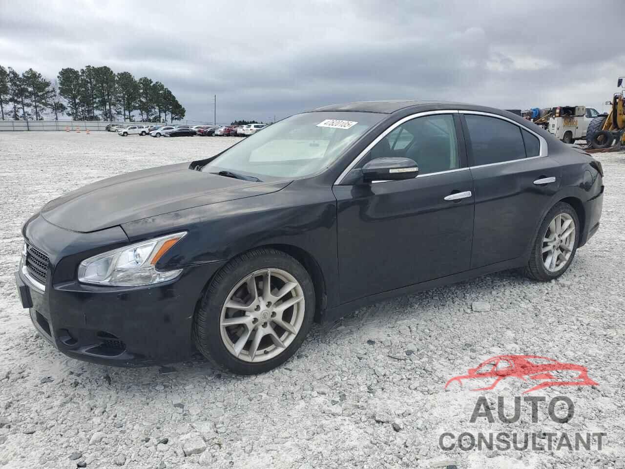 NISSAN MAXIMA 2011 - 1N4AA5APXBC854155