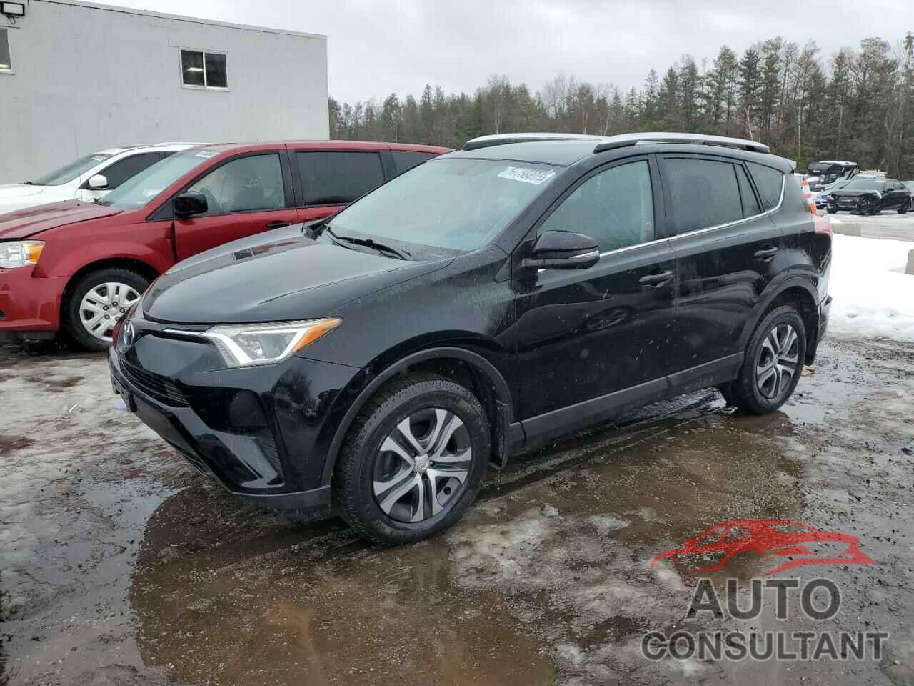 TOYOTA RAV4 2016 - 2T3BFREV2GW447287