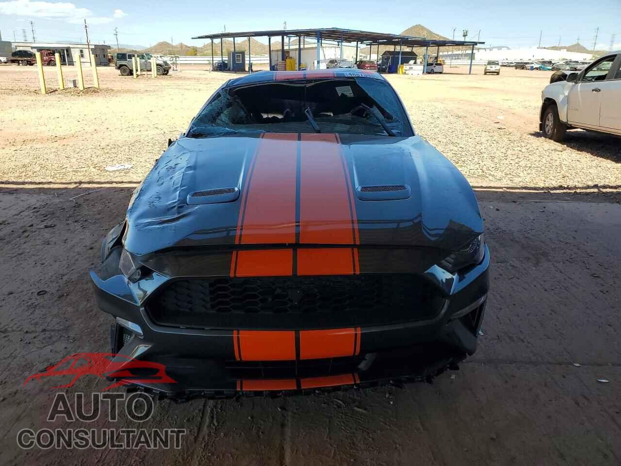 FORD MUSTANG 2019 - 1FA6P8TH5K5125965