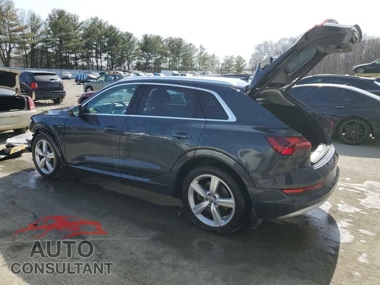 AUDI E-TRON 2019 - WA1LAAGEXKB015138