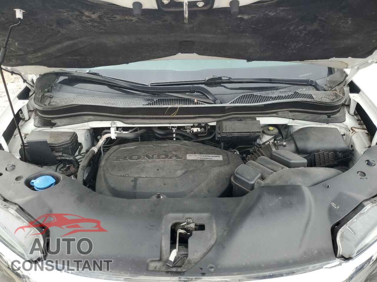 HONDA RIDGELINE 2019 - 5FPYK3F73KB032259