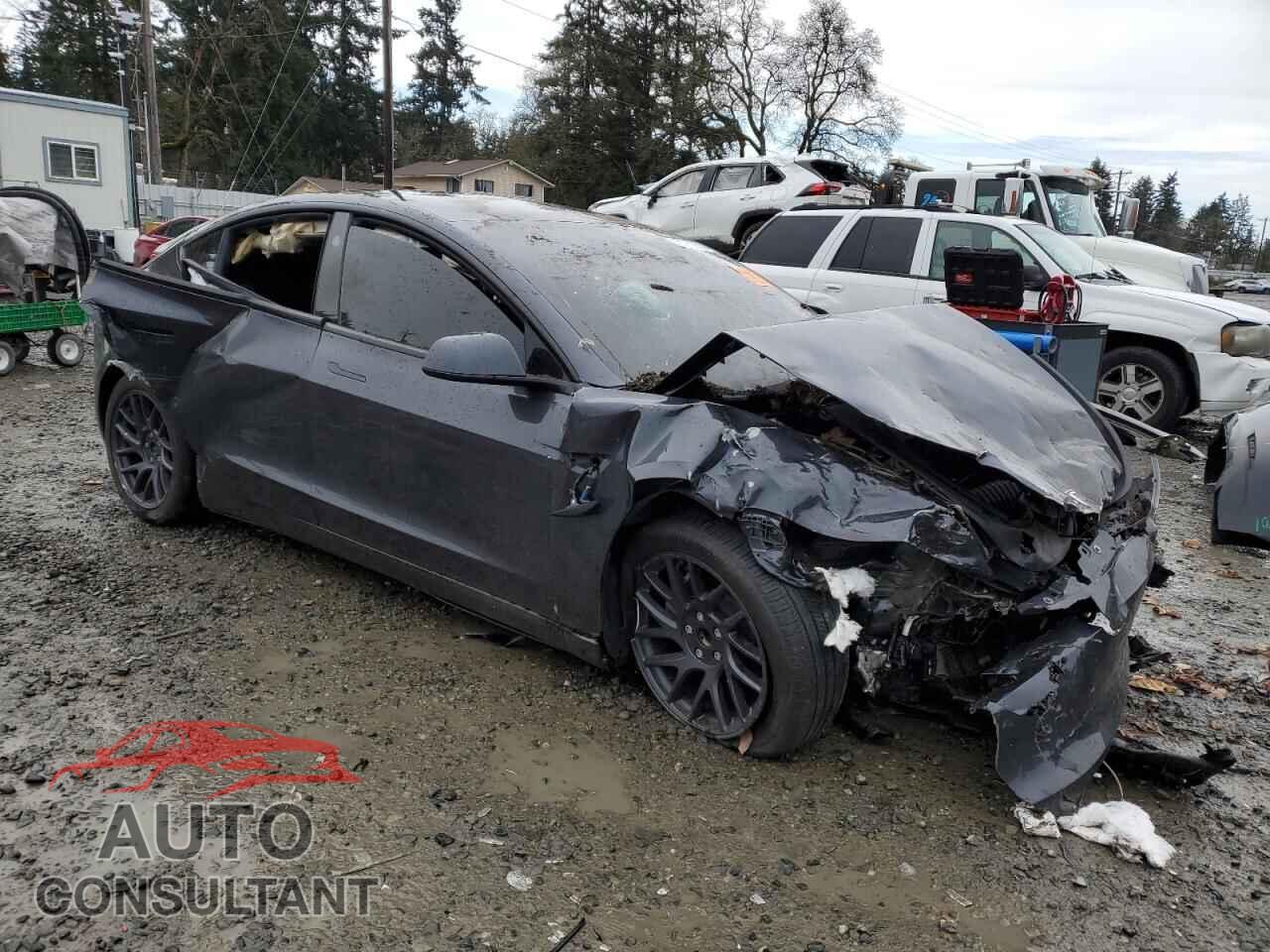 TESLA MODEL 3 2024 - 5YJ3E1EA9RF716917