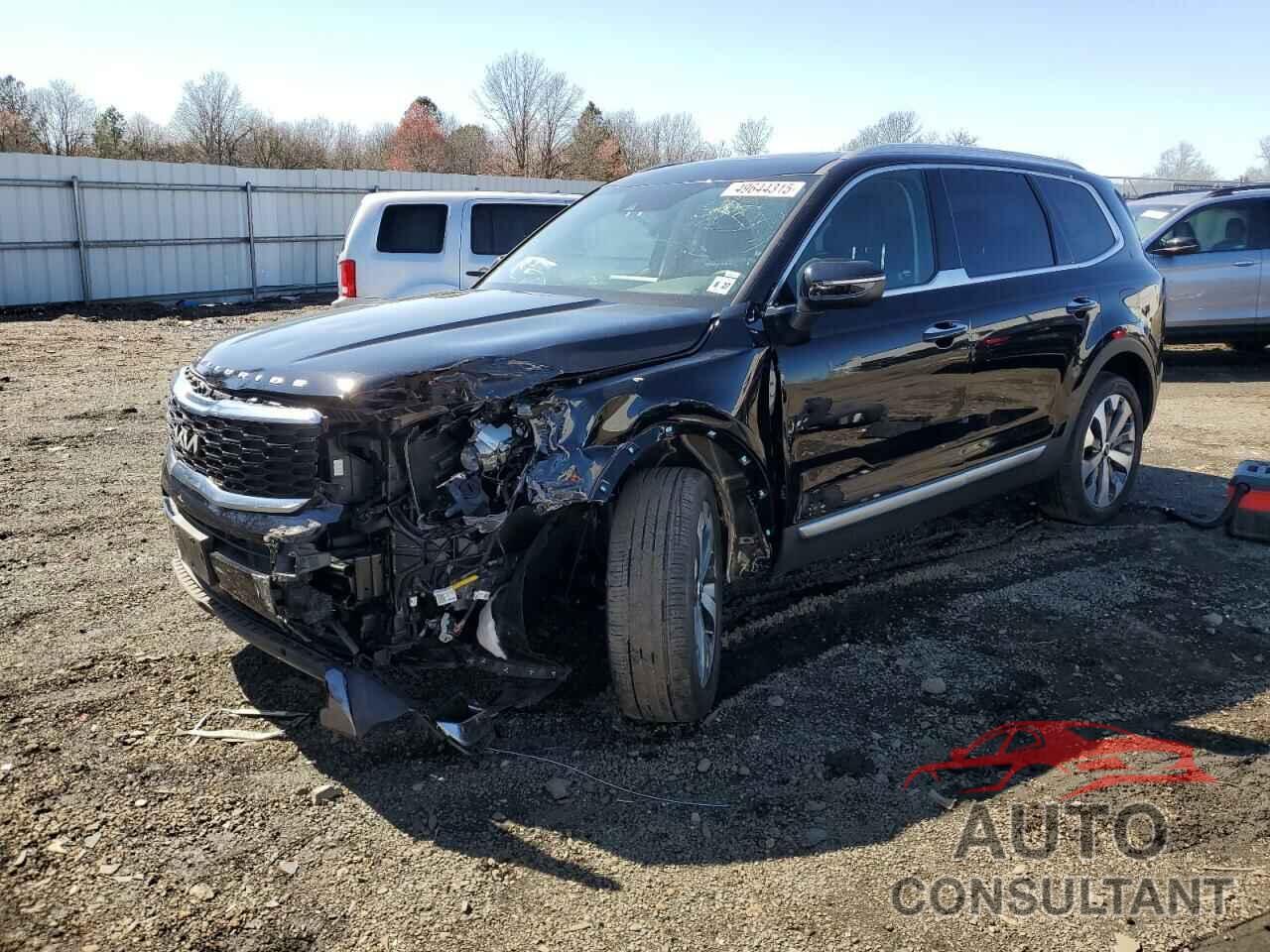 KIA TELLURIDE 2022 - 5XYP6DHC5NG310097